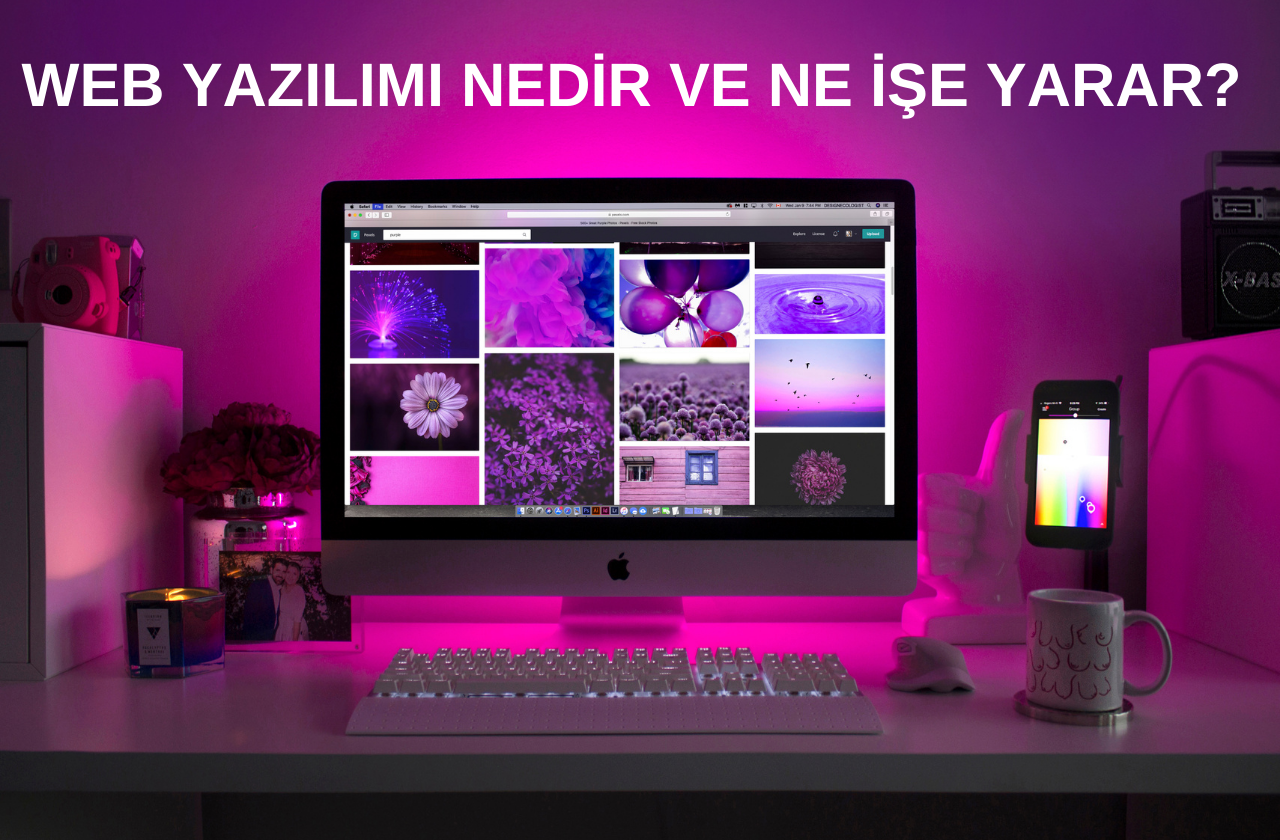 Web Yazılımı Nedir ve Ne İşe Yarar?